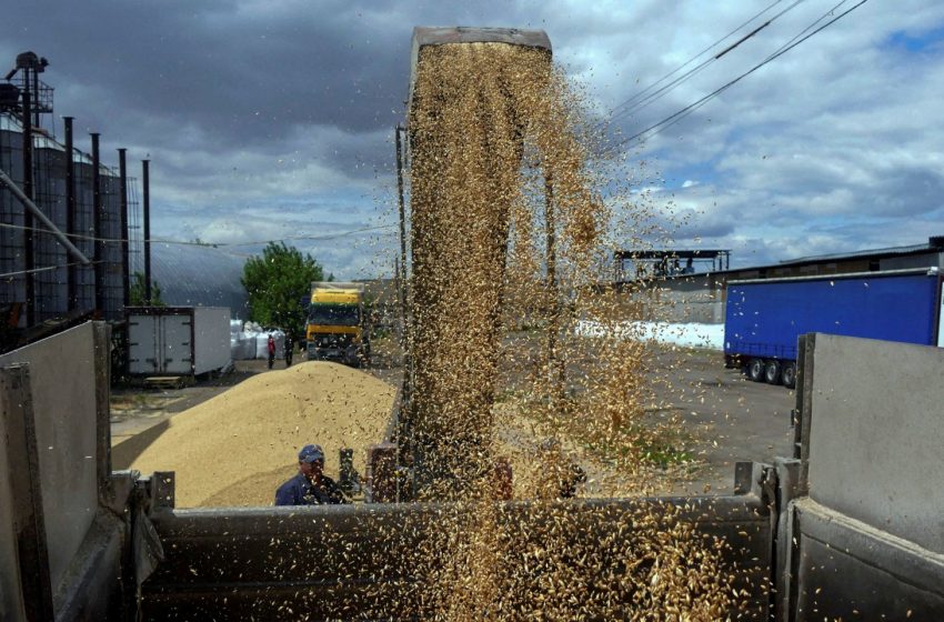  Brasil exporta 123 mil toneladas de arroz em outubro