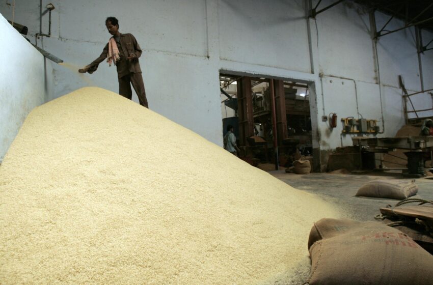  Flexibilização do MEP melhora os preços do arroz Basmati