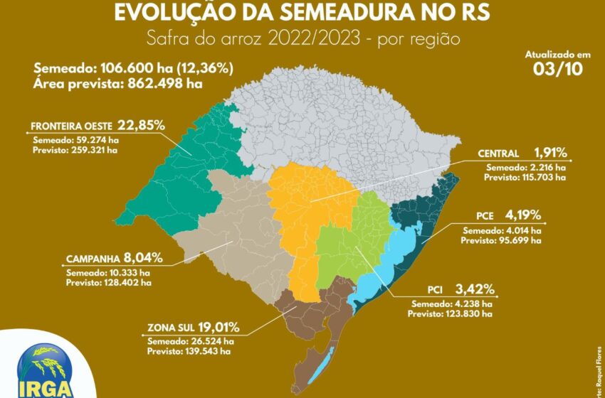  Rio Grande do Sul ultrapassa 12% de área semeada