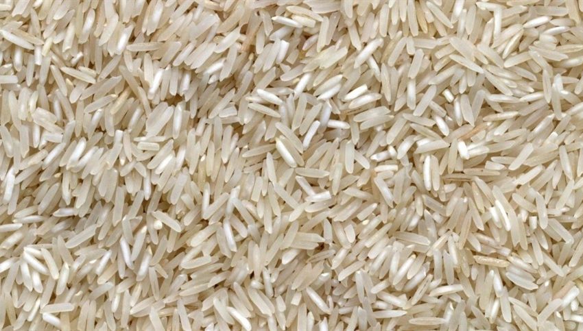 Uso do arroz no etanol pode conter excedentes
