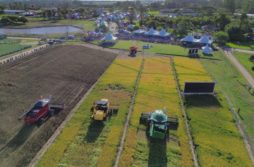  Reivindicações aos governos  federal e estadual marcam ato da Abertura Oficial da Colheita do Arroz