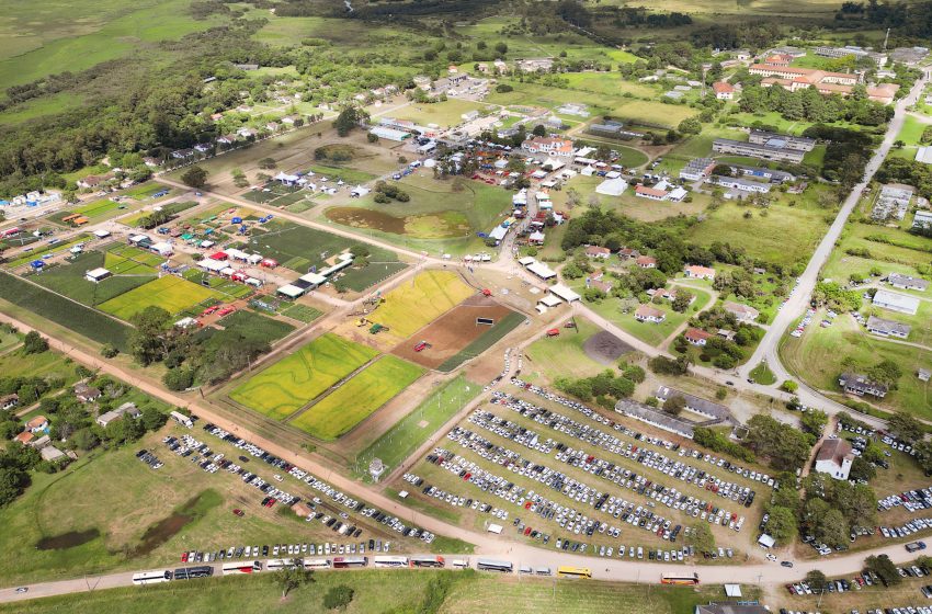  Abertura da Colheita do Arroz será lançada na Expointer