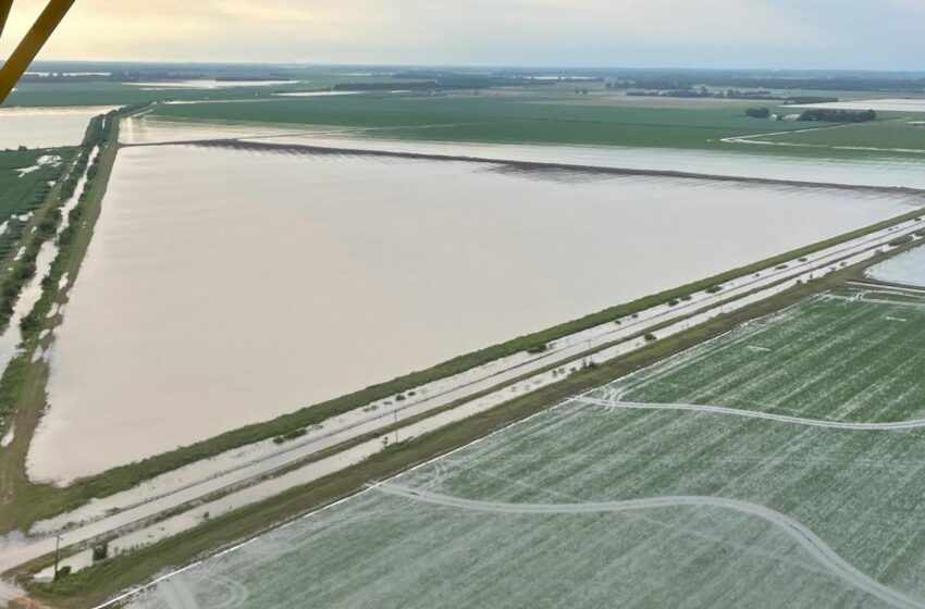  Agricultores de Arkansas enfrentam incertezas após enchente