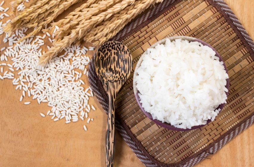  Dia Internacional do Arroz: conheça 4 diferentes utilizações desse grão versátil