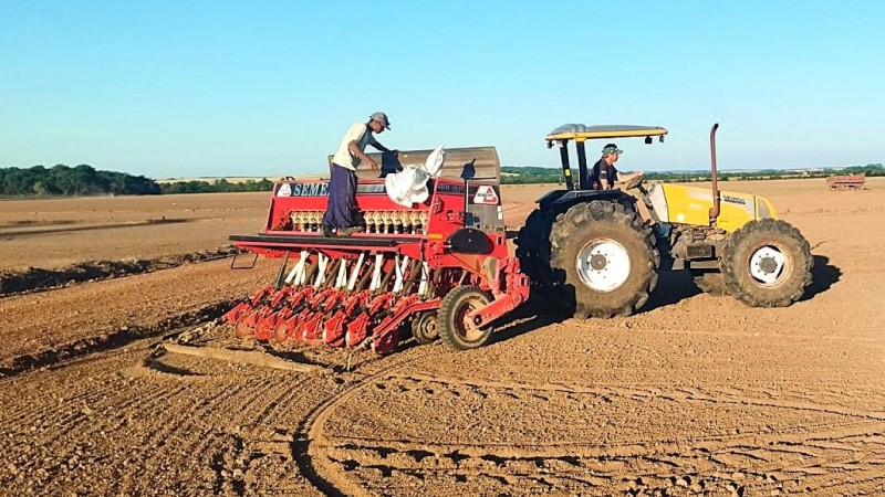  Faltam menos de 15% das lavouras de arroz para semear no RS