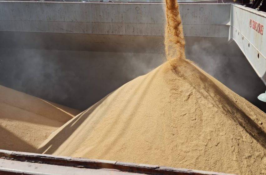 Exportações de arroz aliviam oferta interna e impulsionam recuperação dos preços