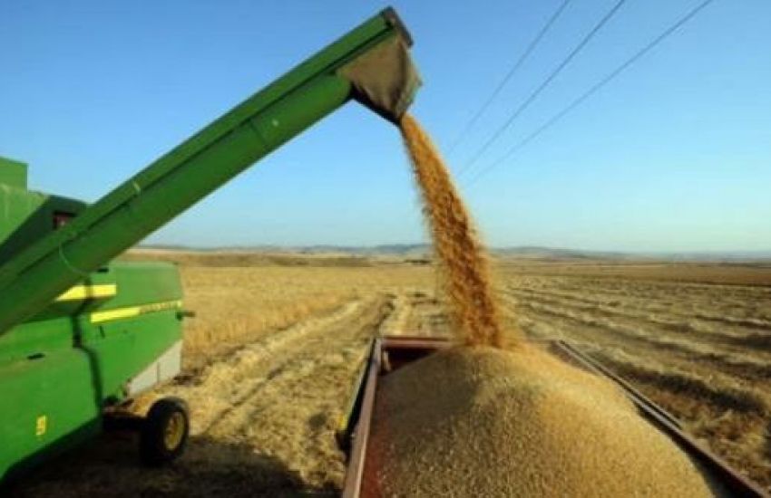  Comissão rejeita tratamento tributário diferenciado ao arroz importado