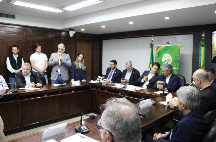 Setor arrozeiro gaúcho vai discutir com governador alternativas para crise na atividade