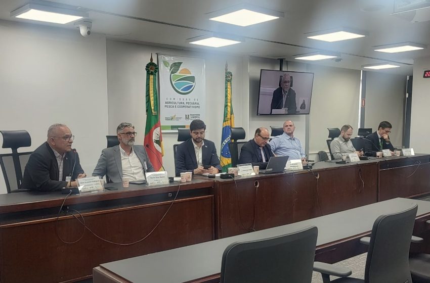  Audiência aponta uso da CDO como subvenção para enfrentar crise do arroz