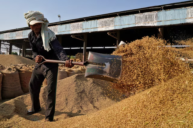  Índia destina 5,2 milhões de toneladas de arroz para etanol