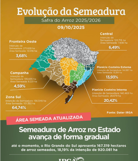 Semeadura de arroz no Rio Grande do Sul avança de forma gradual