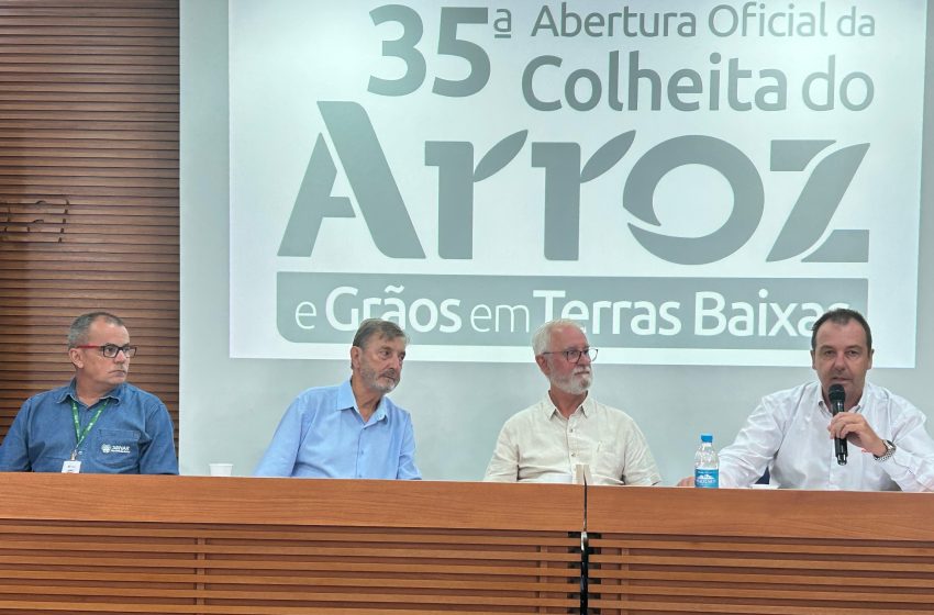  Abertura da Colheita ofertará ferramentas para o rizicultor seguir produzindo