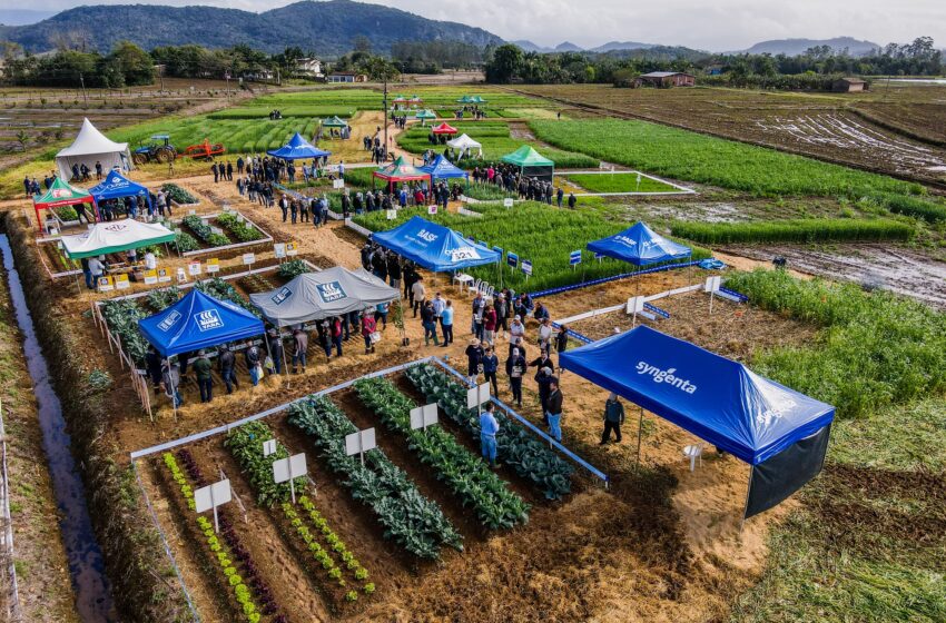  Cooperja realiza 1º Campo Agroacelerador de Inverno com tema “Diversificação e Rentabilidade”