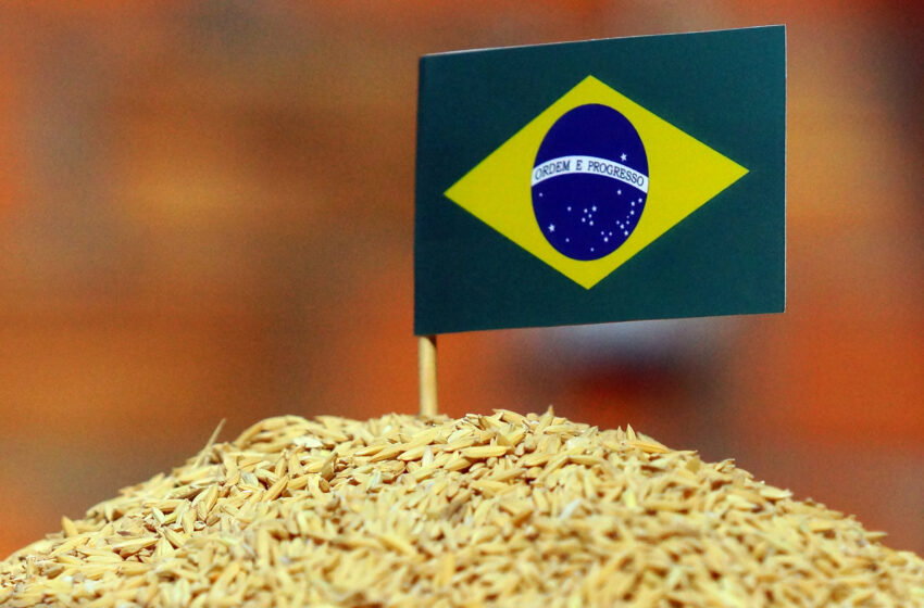  Brasil tenta prorrogar e ampliar cota de exportação de arroz com destino ao México