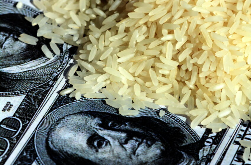  Preço do arroz cai quase pela metade