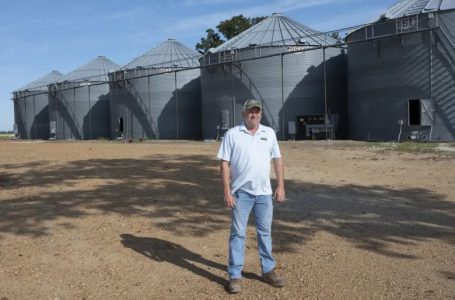 Shannon Hall: 10ª geração de produtores no Arkansas encerrou as atividades e fazenda foi a leilão