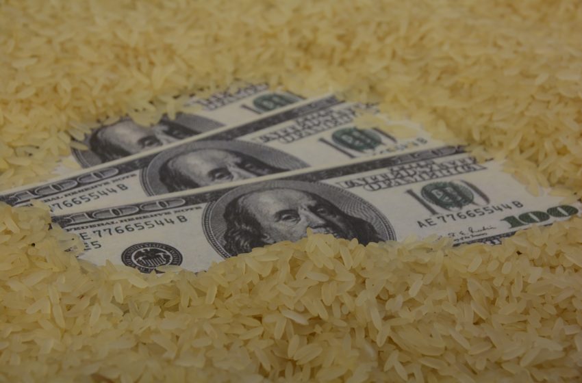  “Nós, produtores de arroz, fizemos a nossa parte, o Estado deve fazer a sua”