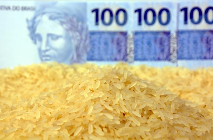 Preço do arroz despenca 50% em um ano: por que a crise no setor preocupa