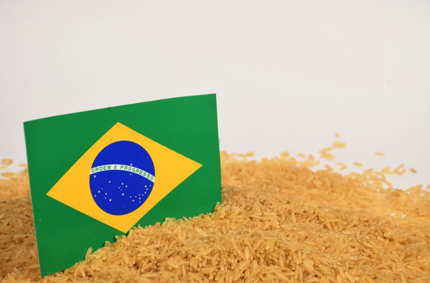 Cepea indica preços firmes, apesar da baixa liquidez no mercado interno