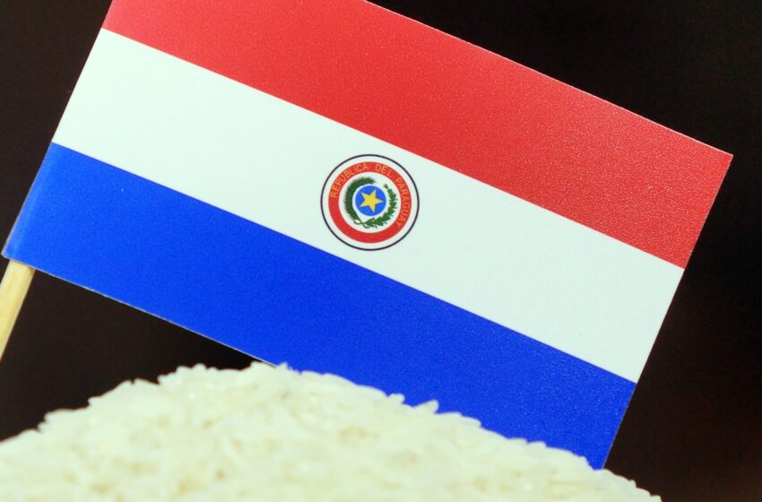  Paraguai retoma embarques de arroz para o México após estar livre de pragas