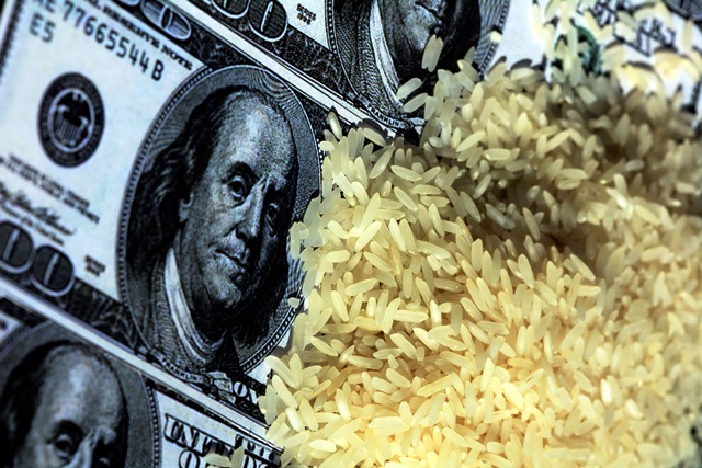  Abiarroz: Exportações totais de arroz devem alcançar 2 milhões de t em 2022