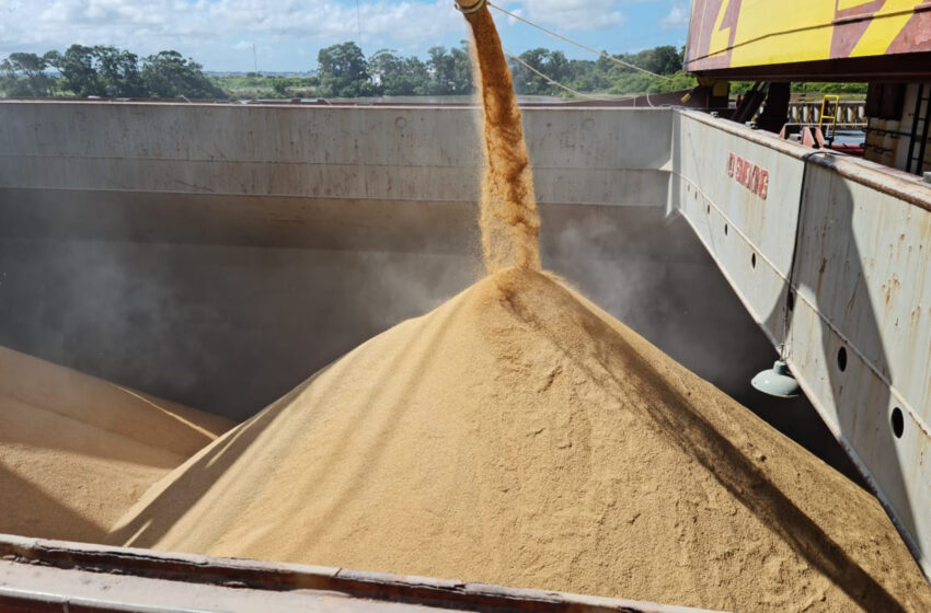  Confirmada negociação de 50 mil toneladas de arroz com casca para o exterior