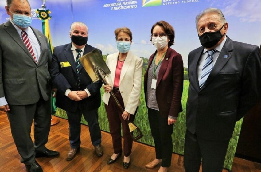  Federarroz entrega pauta de reivindicações para ministra da Agricultura