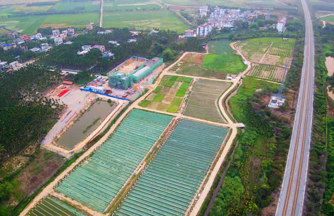  Maior repositório de arroz selvagem do mundo concluído no sul da China