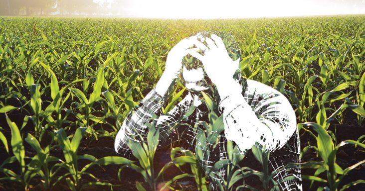Arkansas, nos EUA, está à beira de um desastre agrícola e culpa o Brasil