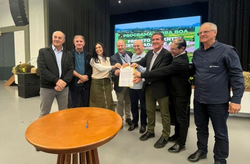 Produtores de arroz de Santa Catarina terão subsídios para compra de sementes certificadas
