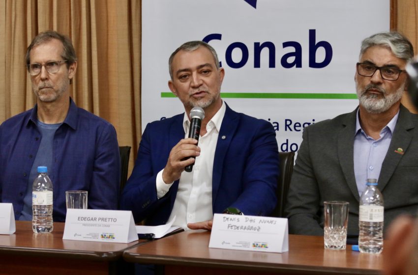  Conab pode comprar até 137 mil toneladas de arroz da safra 2024/25 para formação de estoques