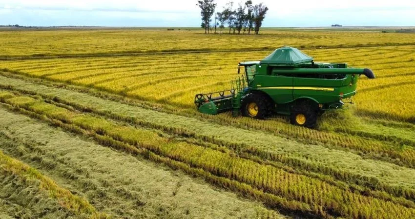  Itaqui e Maçambará iniciam colheita do arroz no RS