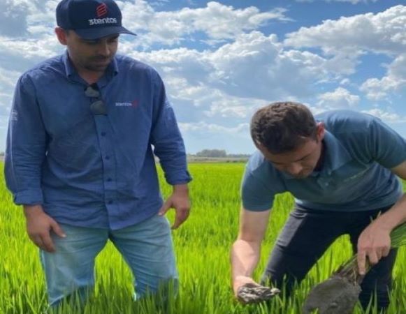  3tentos participa de iniciativa para o desenvolvimento de insumos biológicos no cultivo do arroz