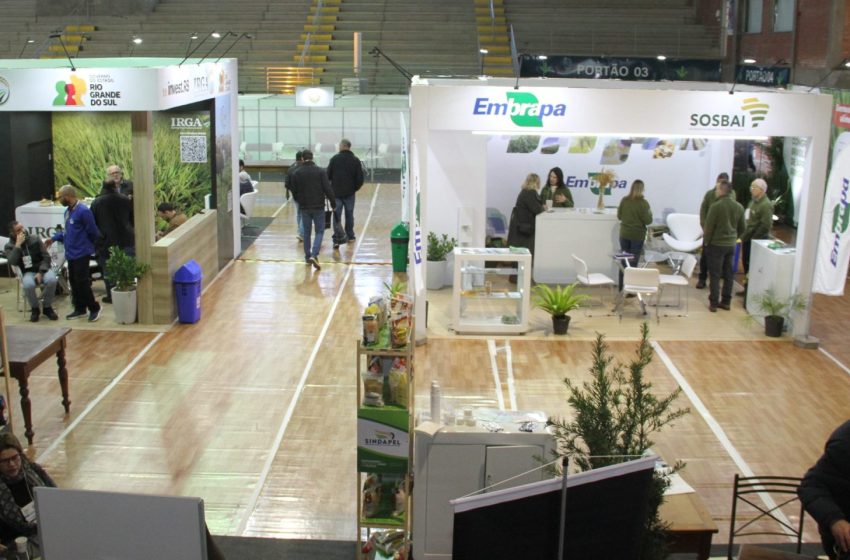 Congresso Nacional do Arroz Irrigado aproxima produtores e pesquisadores