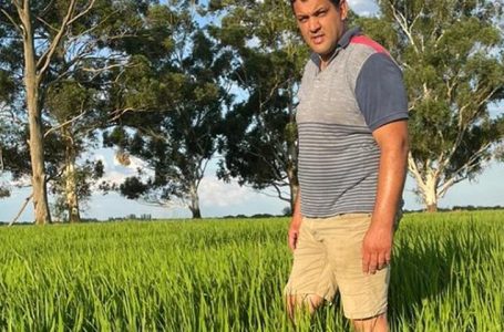 Challio: risco de uma contração histórica na área semeada em Entre Ríos.
