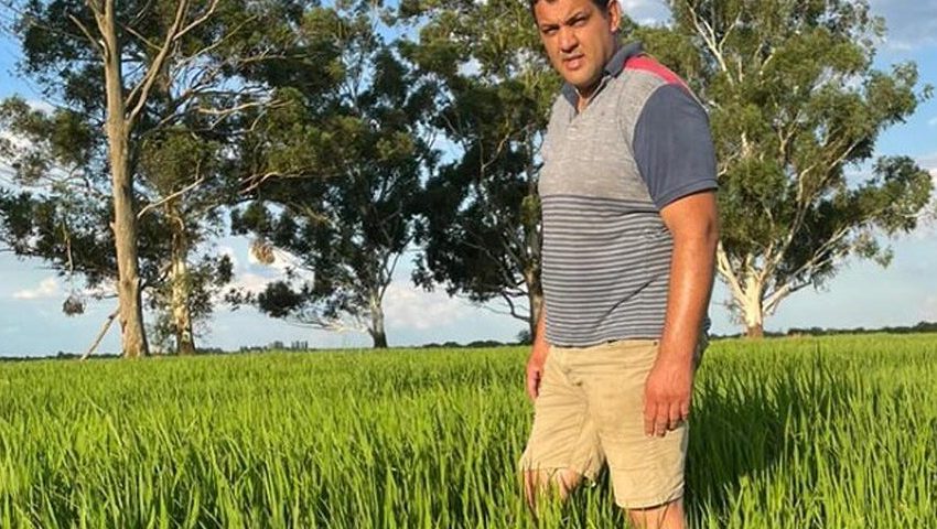  Possível queda acentuada na área plantada é alvo de alerta na Argentina