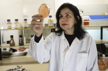 Mariângela Hungria é uma das estrelas do Congresso Brasileiro do Arroz Irrigado
