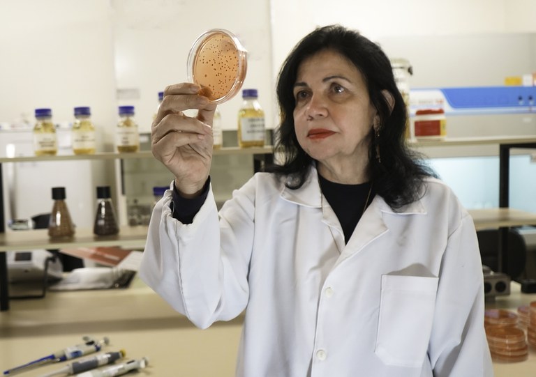  13º Congresso Brasileiro do Arroz apresenta tecnologias e inovações