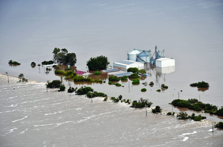  Resiliência arrozeira