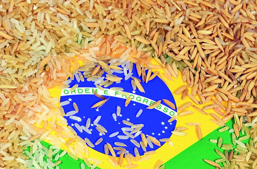  Brasil produz mais arroz