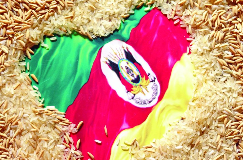  Liderança incontestável