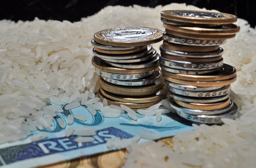  Semeadura do arroz irrigado entra na fase final no RS, com atrasos pontuais