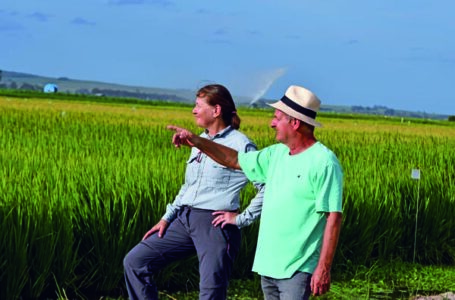 Cláudia Lange e Valmir Menezes: soma de expertises em busca do melhor arroz