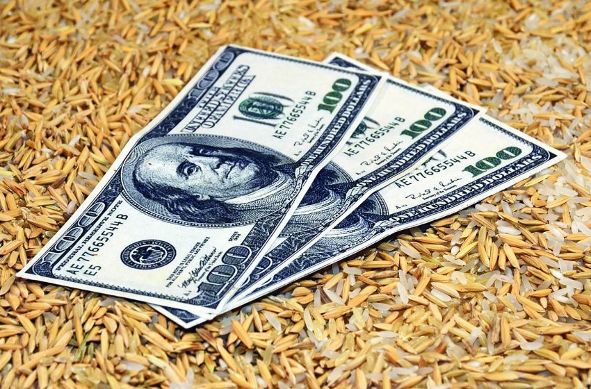  Em busca de recuperação