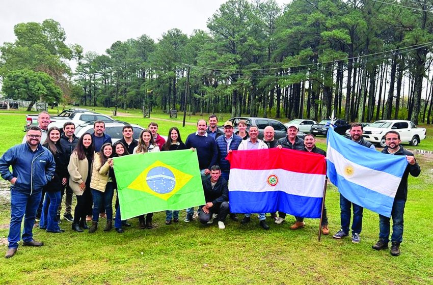  Muito além do lucro