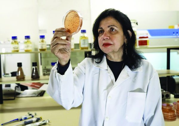 Mariângela Hungria: uma das palestrantes aguardadas no 13º CBAI
