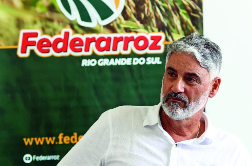  “Sem amparo, revolucionamos a rizicultura. Imagine se nos dão segurança para produzir”