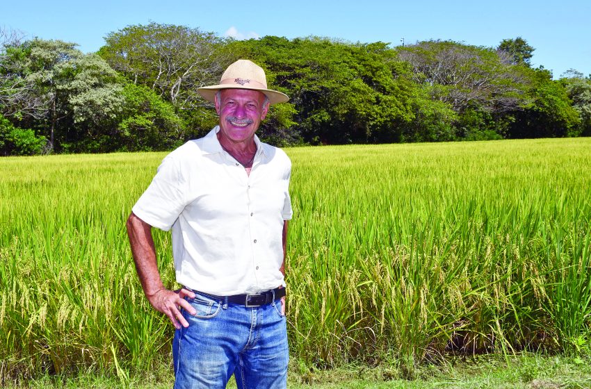  “Passado o diagnóstico, é preciso agir”