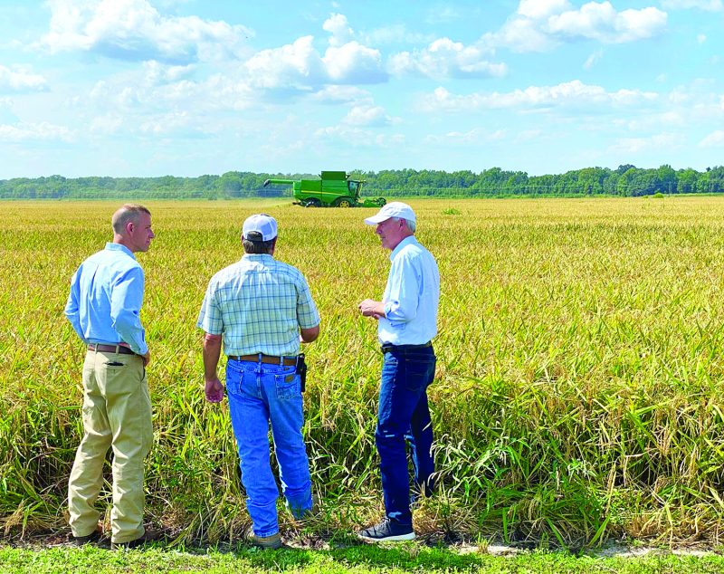 Produtores norte-americanos: impasse com clima e preços
