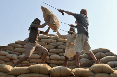 Trabalhadores levantam saco de arroz para carregar em um caminhão em um mercado em Chandigarh, na Índia, REUTERS/Ajay Verma/File Photo